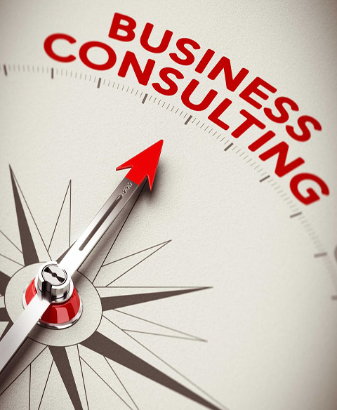 business-formation-consultancy